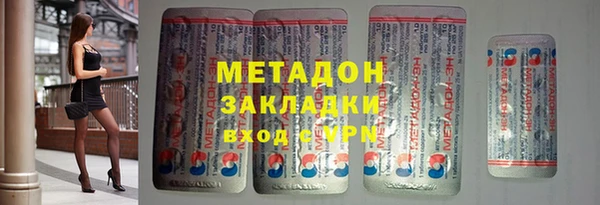 прущие грибы Тихвин
