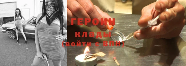 прущие грибы Тихвин