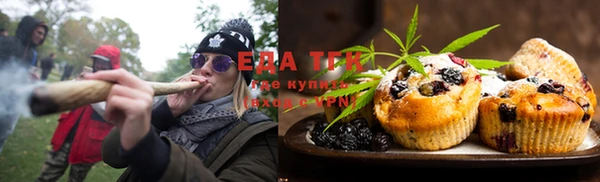 прущие грибы Тихвин