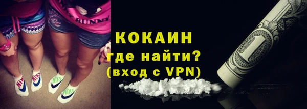 прущие грибы Тихвин