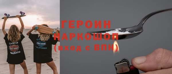 прущие грибы Тихвин
