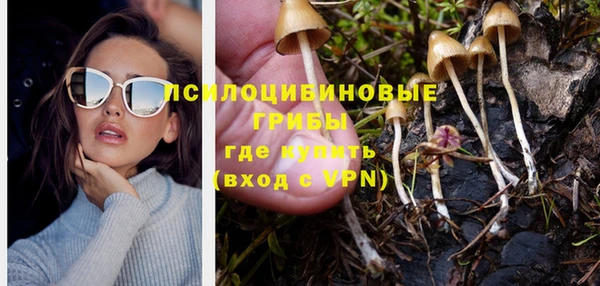 молекула духа Тихорецк