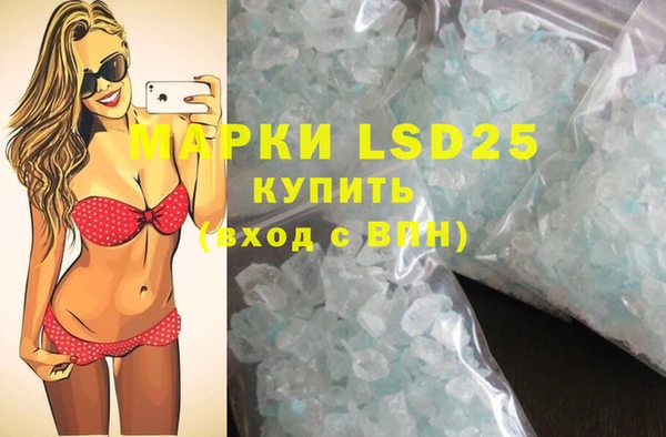 прущие грибы Тихвин