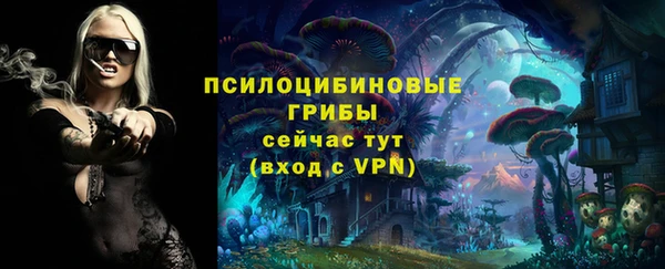 молекула духа Тихорецк