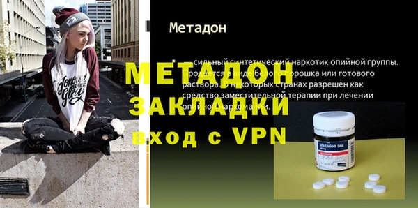 прущие грибы Тихвин