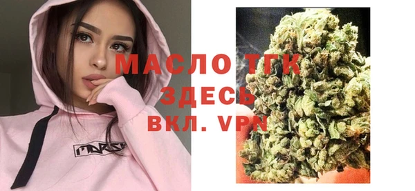 прущие грибы Тихвин