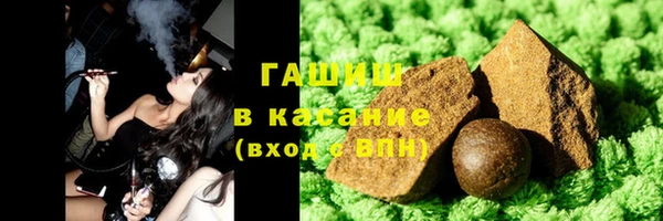прущие грибы Тихвин