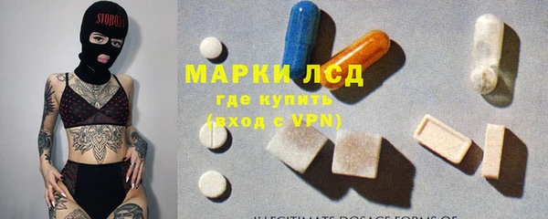 прущие грибы Тихвин