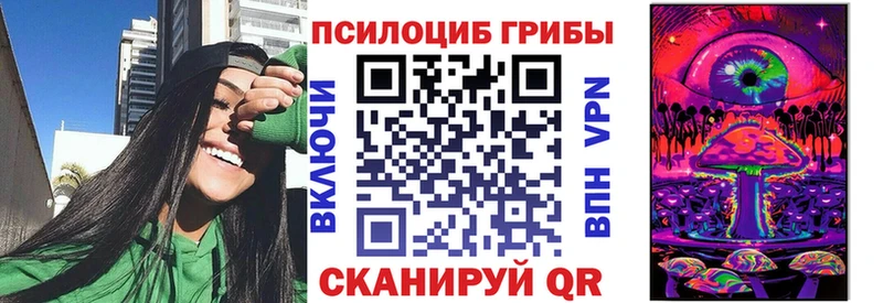 Псилоцибиновые грибы Cubensis  хочу наркоту  Янаул 